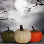 Calabazas-peque-as-marca-Way-to-Celebrate-Set-6-uds-9-91694