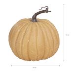 Calabaza-grande-marca-Way-to-Celebrate-decorativa-12-89038
