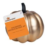 Calabazas-met-licas-marca-Way-to-Celebrate-peque-as-10-89043