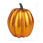 Calabazas-met-licas-Way-to-Celebrate-peque-as-13-89043