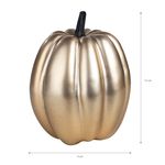 Calabazas-met-licas-Way-to-Celebrate-peque-as-14-89043