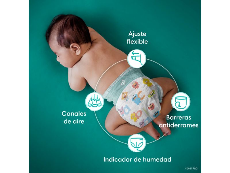 Pa-ales-Pampers-Baby-Dry-Talla-3-104-Uds-8-30936