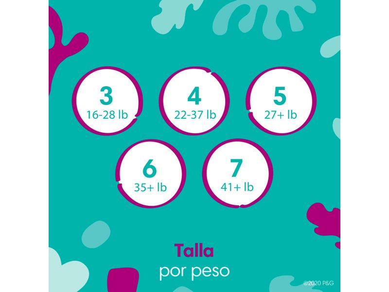 Pa-ales-Pampers-Cruisers-360-Talla-4-10-17kg-64uds-23-71371