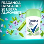 Comprar Desodorante Rexona Dama Bamboo Y Aloe Vera Rollon - 30ml, Walmart  Costa Rica - Maxi Palí