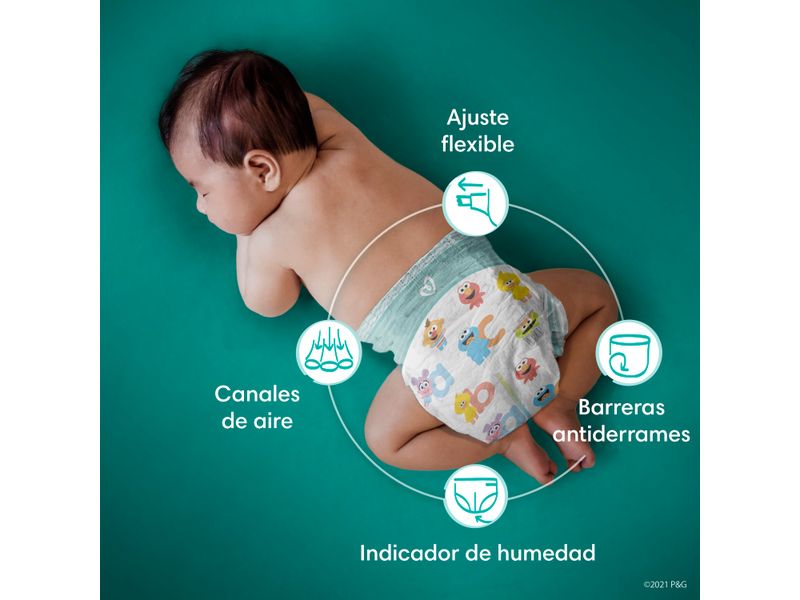 Pa-ales-Pampers-Baby-Dry-Talla-4-92-Uds-8-30937