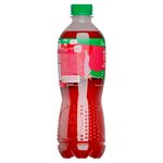 Refresco-Dos-Pinos-T-Rojo-Ar-ndano-500-ml-3-73216