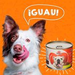 Alimento-H-medo-Dogui-Perro-Adulto-Dinner-At-n-12-Meses-En-Adelante-295g-8-77654