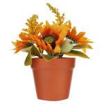 Flores-en-maceta-Way-to-Celebrate-2-89042