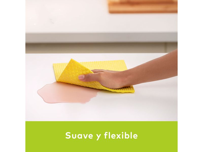 Pa-o-Absorbente-Scotch-Brite-x-3-unidades-4-24958