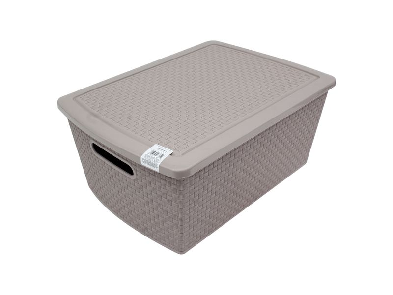 Canasta-Guateplast-Ratan-Con-Tapa-Color-Beige-22-Lt-2-88153