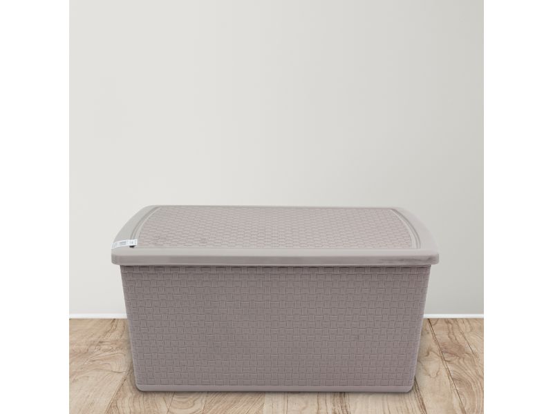 Canasta-Guateplast-Ratan-Con-Tapa-Color-Beige-22-Lt-4-88153