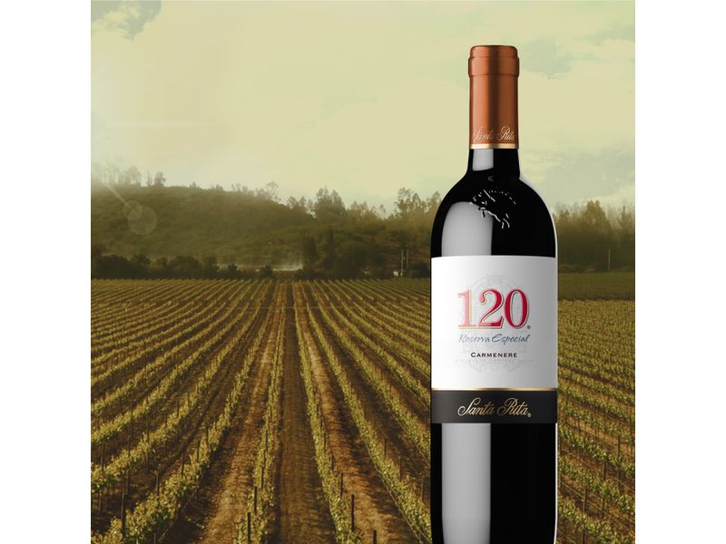 Vino-Tint-Carmenere-120-Santa-Rita-750Ml-5-60333