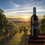 Vino-Tinto-Santa-Rita-3Medallas-Merlot-750ml-4-46090