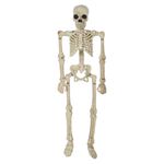 Esqueleto-decorativo-Way-to-Celebrate-peque-o-8-pulgadas-1-87092