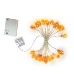 Serie-20-Luces-Led-Estrella-Iridis-Timer-1-88617