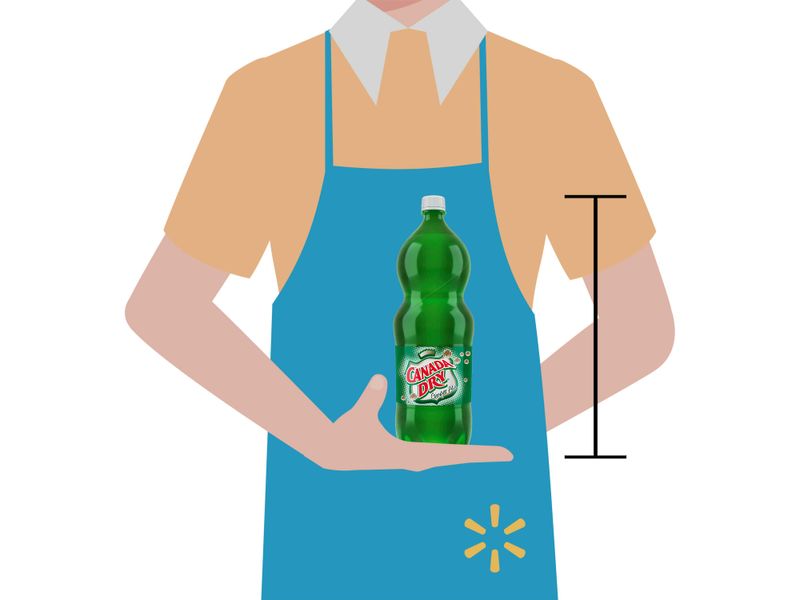 Gaseosa-Canada-Dry-regular-2-L-3-26335