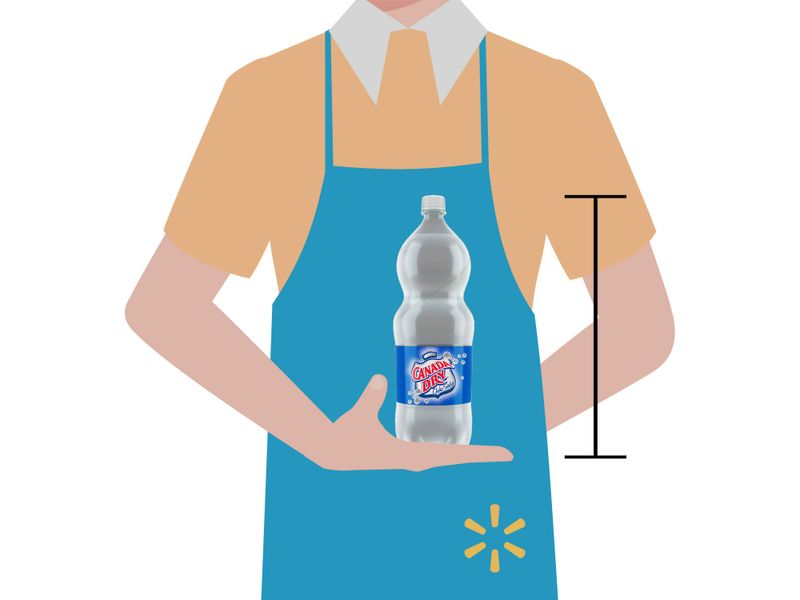 Gaseosa-Canada-Dry-soda-regular-2-L-3-26334
