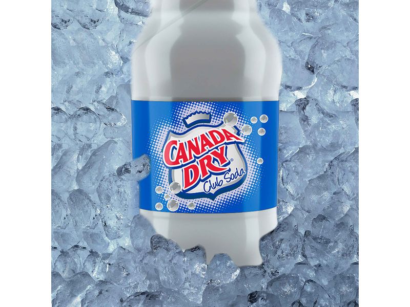 Gaseosa-Canada-Dry-soda-regular-2-L-4-26334