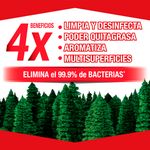 Desinfectante-Sani-Pine-Pino-950ml-5-27382