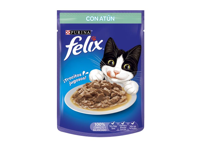 Alimento-Gato-Purina-Felix-Gato-Adulto-At-n-12-Pack-85g-3oz-4-86943