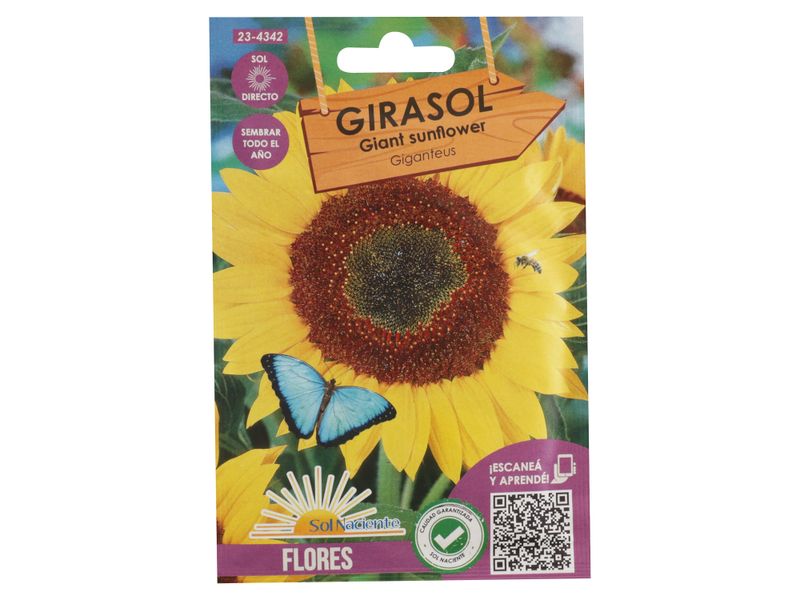 Semillas-Sol-Naciente-Girasol-1-87154