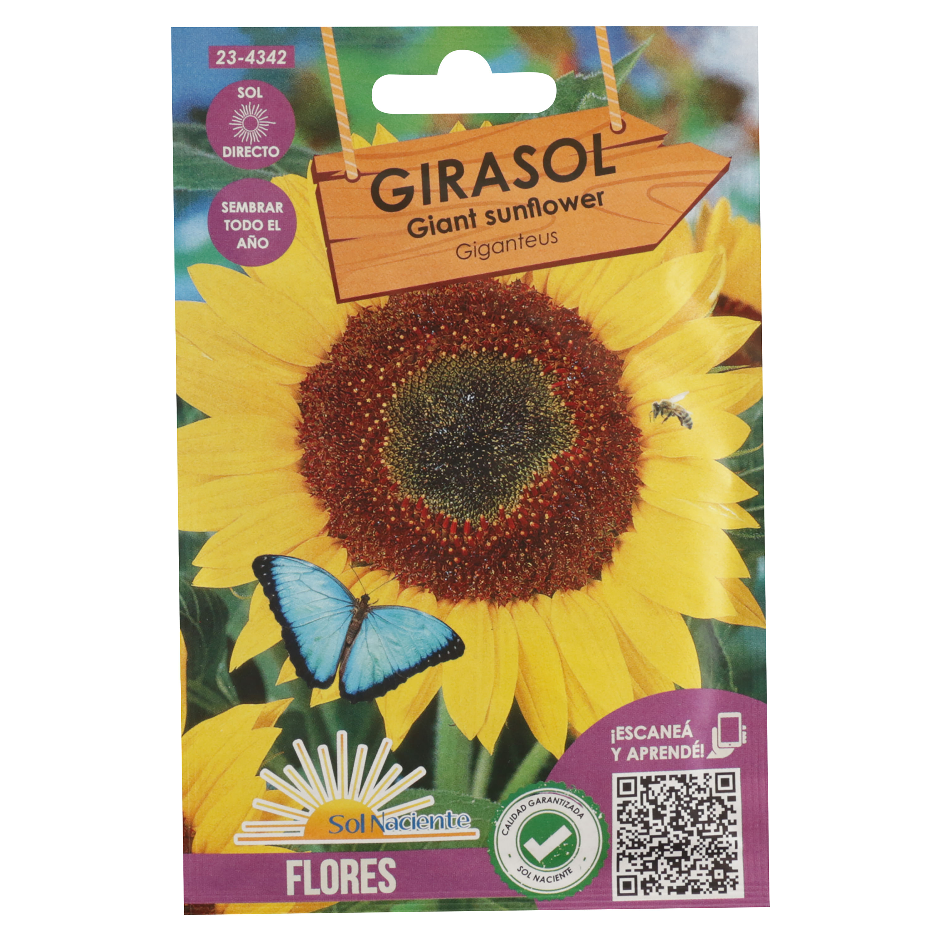 Semillas-Sol-Naciente-Girasol-1-87154