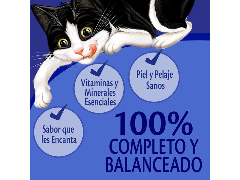 Alimento-H-medo-Gatito-Purina-Felix-Carne-85g-9-33427