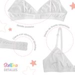 000000000070499735-UN-03