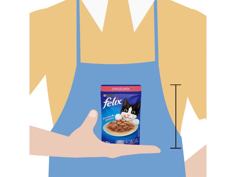 Alimento-H-medo-Gato-Adulto-Purina-Felix-Salm-n-85g-6-33424