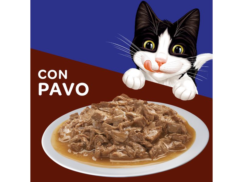 Alimento-H-medo-Gato-Adulto-Purina-Felix-Pavo-85g-7-33421