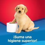 000000000070498495-UN-03