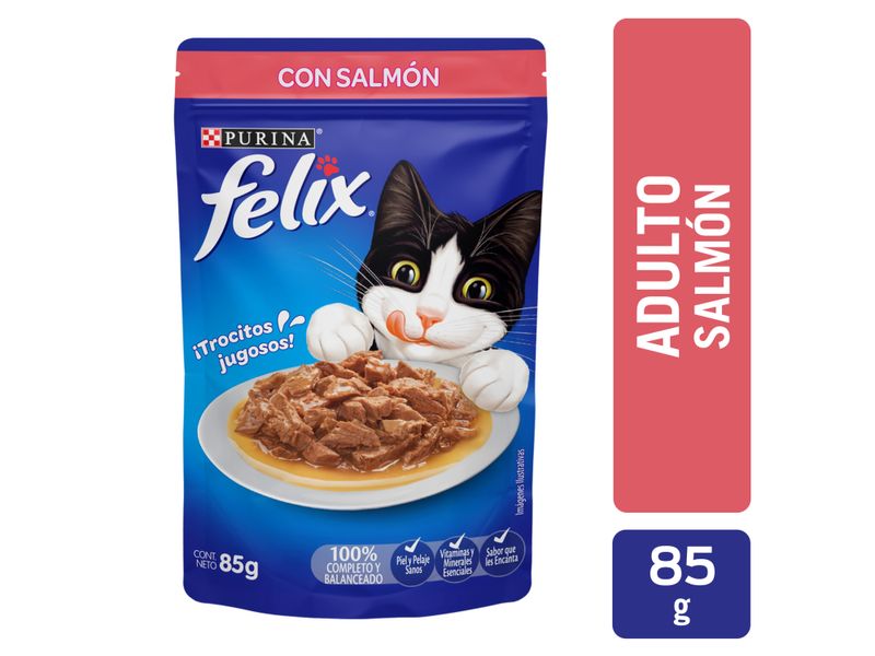 Alimento-H-medo-Gato-Adulto-Purina-Felix-Salm-n-85g-1-33424