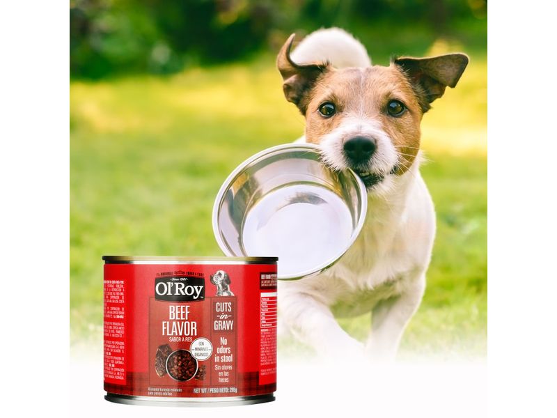 Alimento-H-medo-Ol-Roy-Para-Perro-Sabor-Res-295g-5-87598