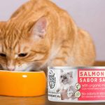 Alimento-H-medo-Special-Kitty-Para-Gato-Sabor-Salm-n-140g-7-87601