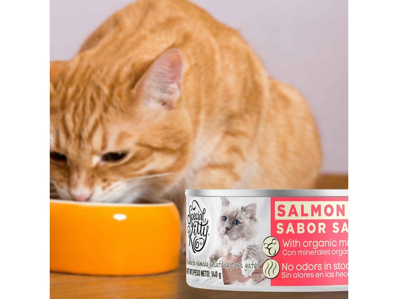 Alimento-H-medo-Special-Kitty-Para-Gato-Sabor-Salm-n-140g-7-87601