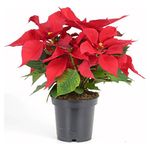 000000000070060210-UN-01