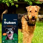 Alimento-Para-Perro-Dukan-Sabor-Cordero-Senior-Razas-Medianas-Y-Grandes-2kg-7-87135
