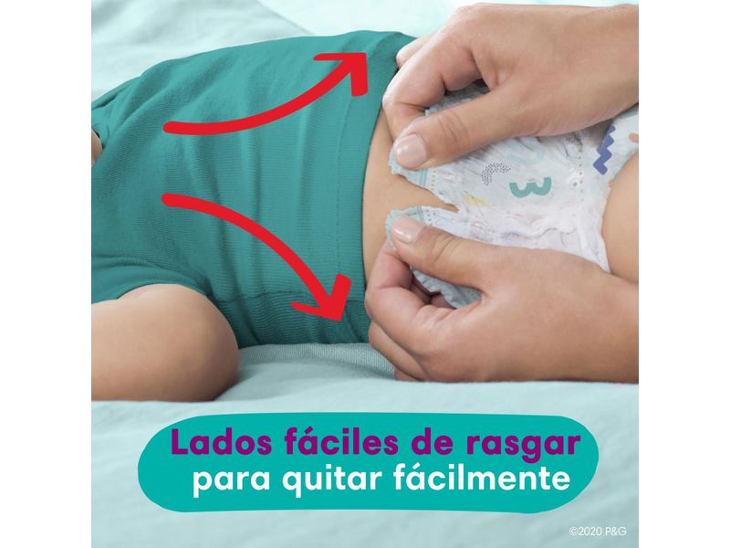 Pa-ales-Pampers-Cruisers-360-Talla-6-16kg-48uds-12-73944