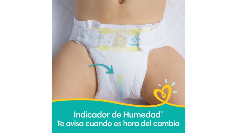 Comprar Pañales Pampers Baby-Dry Talla 6, 14kg -96uds, Walmart Costa Rica  - Maxi Palí
