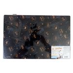 Individual-Harry-Potter-Decorativo-43x28cm-4-91049
