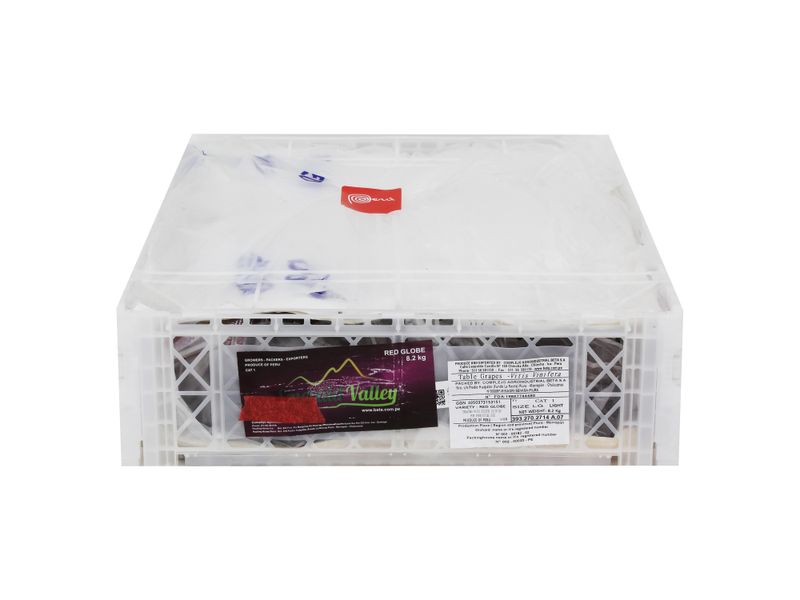 Uva-Globo-Caja-De-8-Kg-2-94178