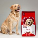 Alimento-Dogui-Perro-Adulto-Sabor-Carne-Y-Arroz-18-Meses-En-Adelante-4kg-8-71113