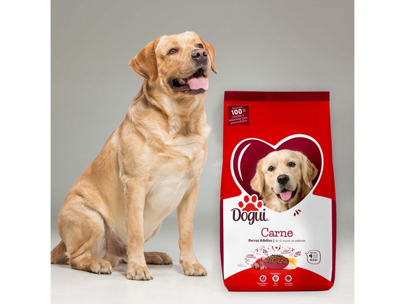 Alimento-Dogui-Perro-Adulto-Sabor-Carne-Y-Arroz-18-Meses-En-Adelante-4kg-8-71113