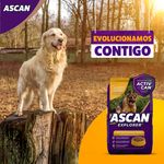 Alimento-Ascan-Perro-Adulto-Razas-Mediana-Y-Grande-12-Meses-En-Adelante-4kg-6-26820