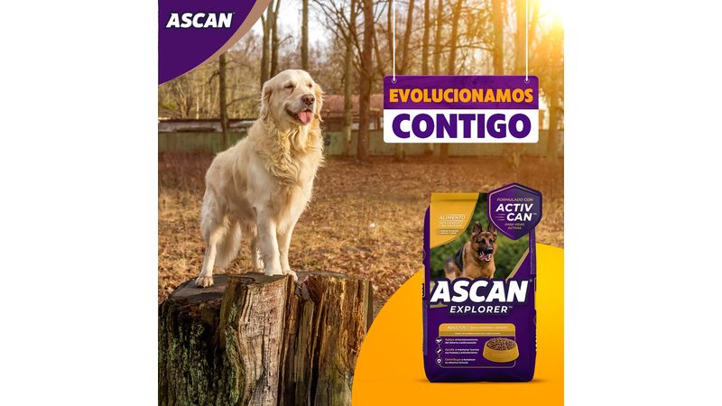 Comprar Alimento Ascan Perro Adulto Razas Mediana Y Grande 12