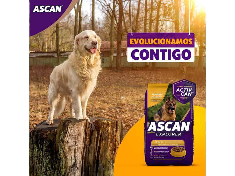 Alimento-Ascan-Perro-Adulto-Razas-Mediana-Y-Grande-12-Meses-En-Adelante-4kg-6-26820