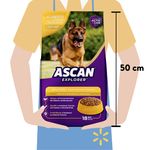 Alimento-Ascan-Perro-Adulto-Razas-Mediana-Y-Grande-12-Meses-En-Adelante-18kg-5-24777