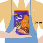 Alimento-Gati-Para-Gato-Adulto-Sabor-Pollo-M-s-2-Meses-1kg-5-29116