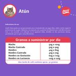 Alimento-Gati-Para-Gato-Adulto-Sabor-At-n-M-s-2-Meses-1Kg-3-33964