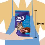 Alimento-Gati-Para-Gato-Adulto-Sabor-A-Pescado-M-s-2-Meses-1kg-3-70436